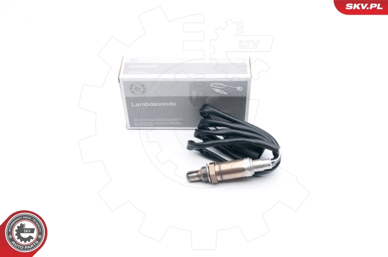 Oxygen Sensor
